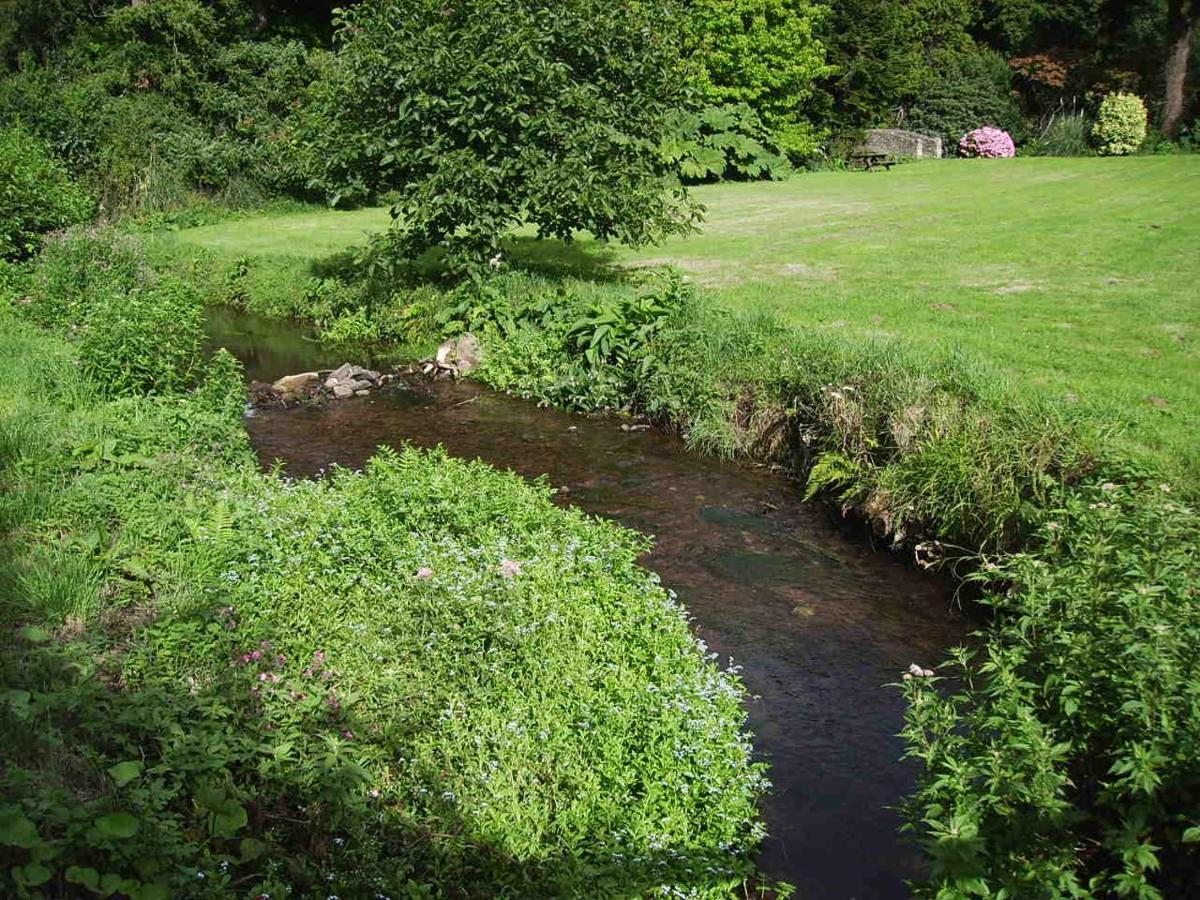 Luxury Bed And Breakfast At Bossington Hall In Exmoor, Somerset Porlock Extérieur photo
