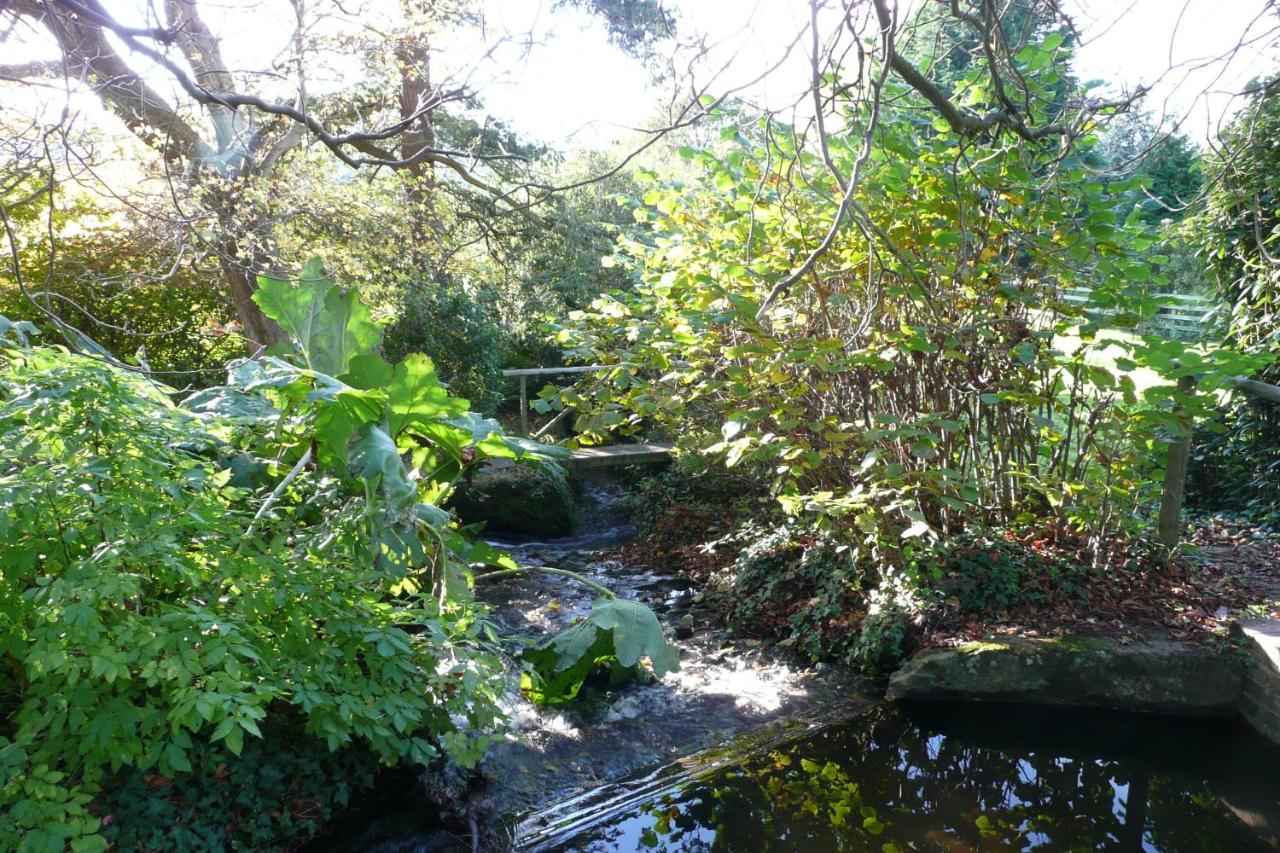 Luxury Bed And Breakfast At Bossington Hall In Exmoor, Somerset Porlock Extérieur photo